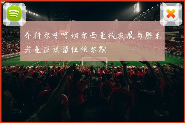 乔科尔呼吁切尔西重视发展与胜利并重应该留住帕尔默